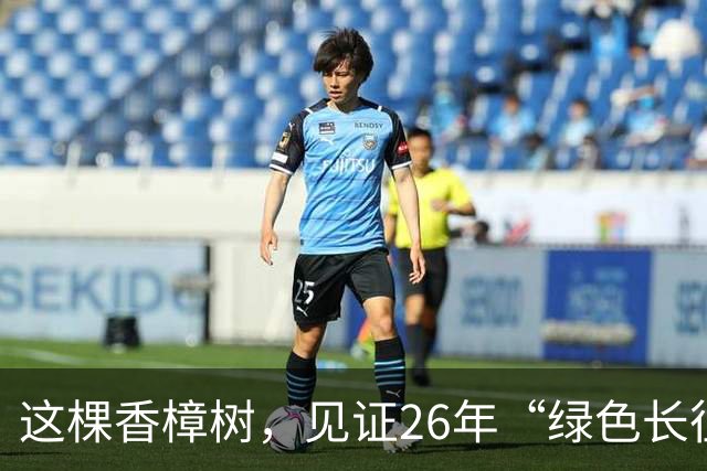 这棵香樟树，见证26年“绿色长征”